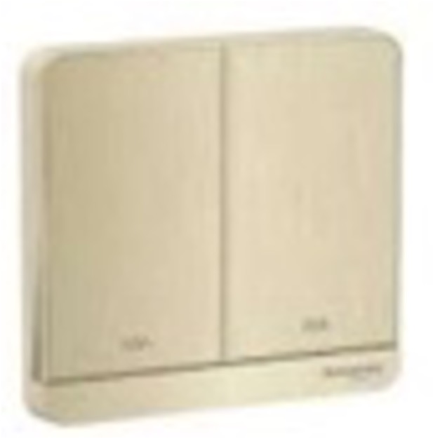 Double Pole Switch Gold 20A 1 Gang Double Pole Switch